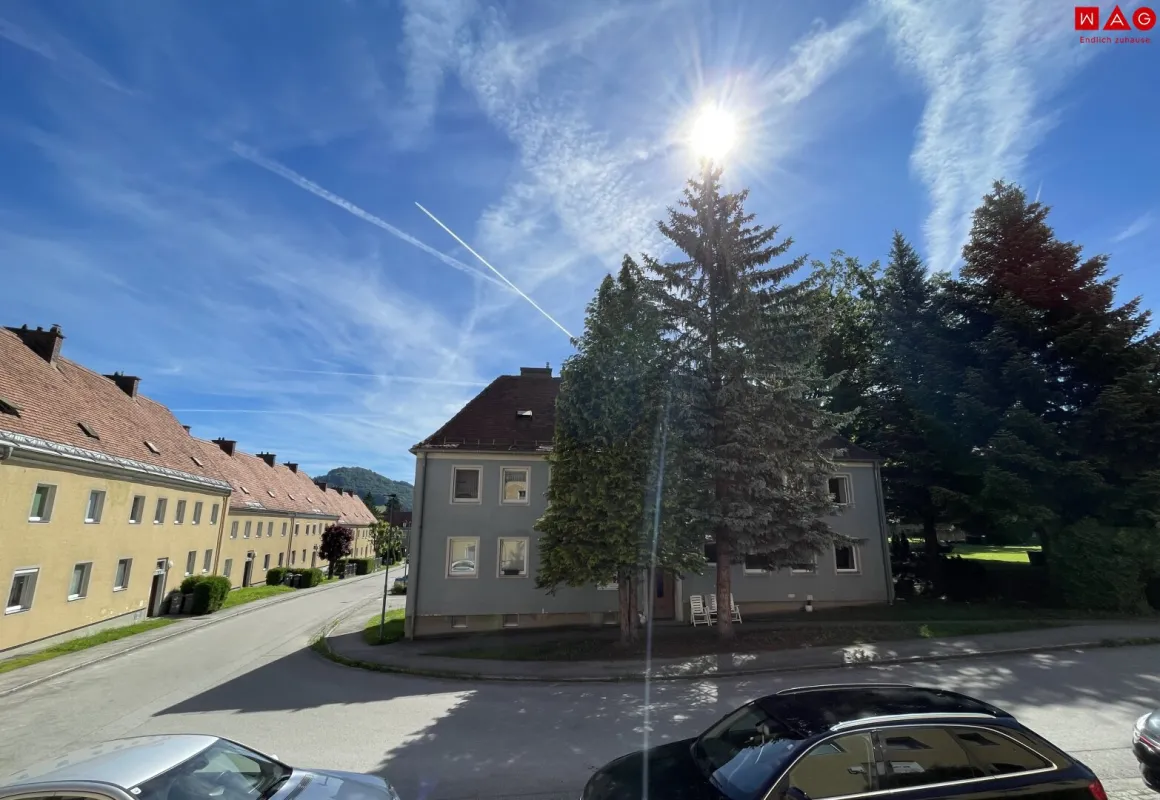 Leistbares Wohnen in der nachgefragten WAG-Siedlung Traisen! Modern geschnittene helle 2 Zimmer Wohnung in ruhiger Lage! - Bild 1