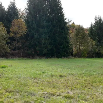 Attraktives Baugrundstück– groß, eben und vielseitig nutzbar - Bild 2