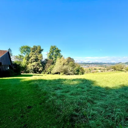 Attraktives Bauernhaus mit großem Grundstücksensemble in echter Privatsphäre! - Bild 3