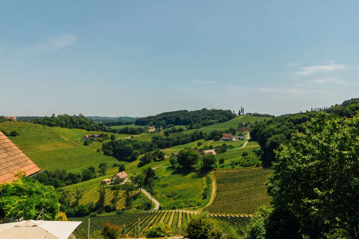 Umgeben von Weinbergen mit traumhaftem Weitblick - Alleinlage in der Südsteiermark! - Bild 1