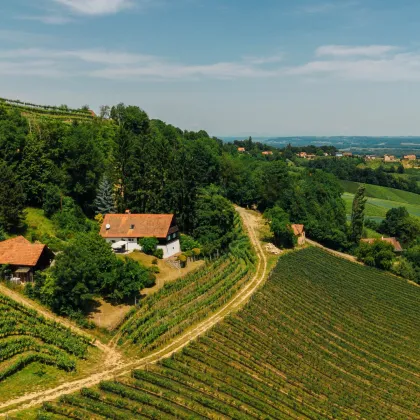 Umgeben von Weinbergen mit traumhaftem Weitblick - Alleinlage in der Südsteiermark! - Bild 3