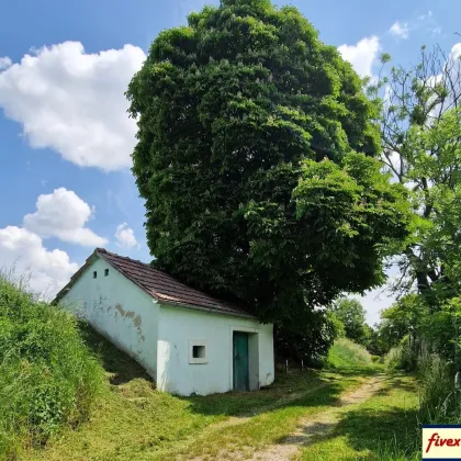 Ein ruhiges Platzerl... - Weinkeller in Unterhautzental zu kaufen - Bild 2