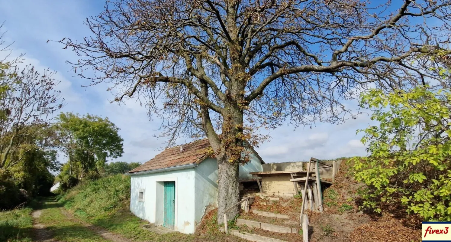 Ein ruhiges Platzerl... - Weinkeller in Unterhautzental zu kaufen - Bild 1