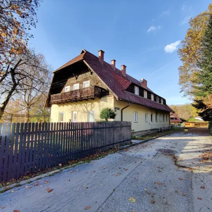 Projektliegenschaft mit großem Sanierungs- und Baupotential. - Nahe dem Flughafen. - Über 6.000 m² Bauland. - Vielfältiges Potential. - Bild 3