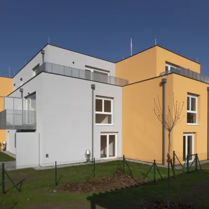 Zuhause mit Wohlfühlfaktor in Paudorf - Bild 3