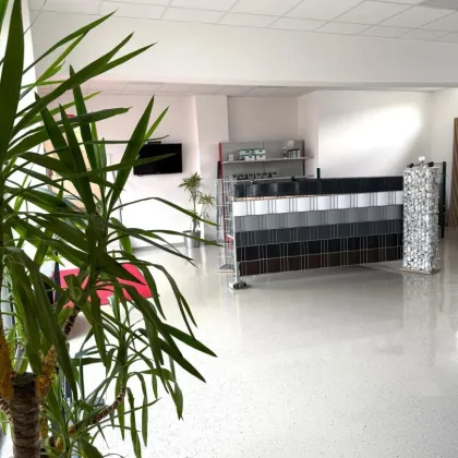Büro- mit Schauräumen in St. Lorenzen im Mzt! - Bild 3