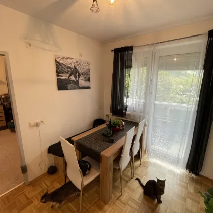 Preishit! Großzügige 2-Zimmer Wohnung mit Balkon und Carport, nahe Burgruine Krems! - Bild 2