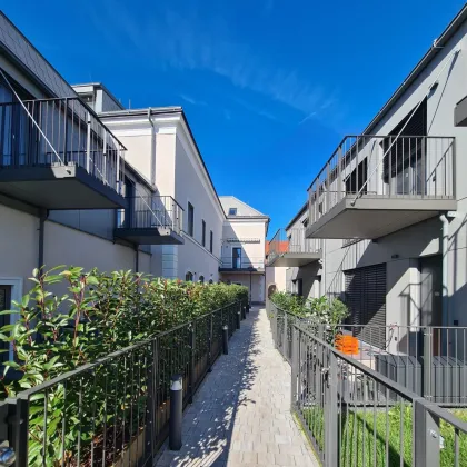 Luxus Penthouse in Gumpoldskirchen! - Bild 3