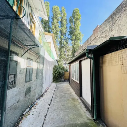 Baubewilligtes Zinshaus bei Schönbrunn – charmantes Anlageobjekt mit attraktivem Entwicklungspotenzial - Bild 3