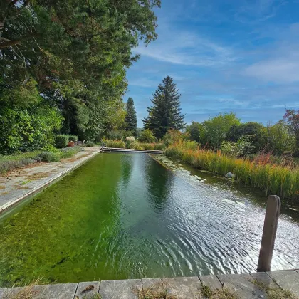 *** ALL-ALL-ALL-IN MIETE *** GROSSE GARTENANLAGE MIT SCHWIMMTEICH *** - Bild 2