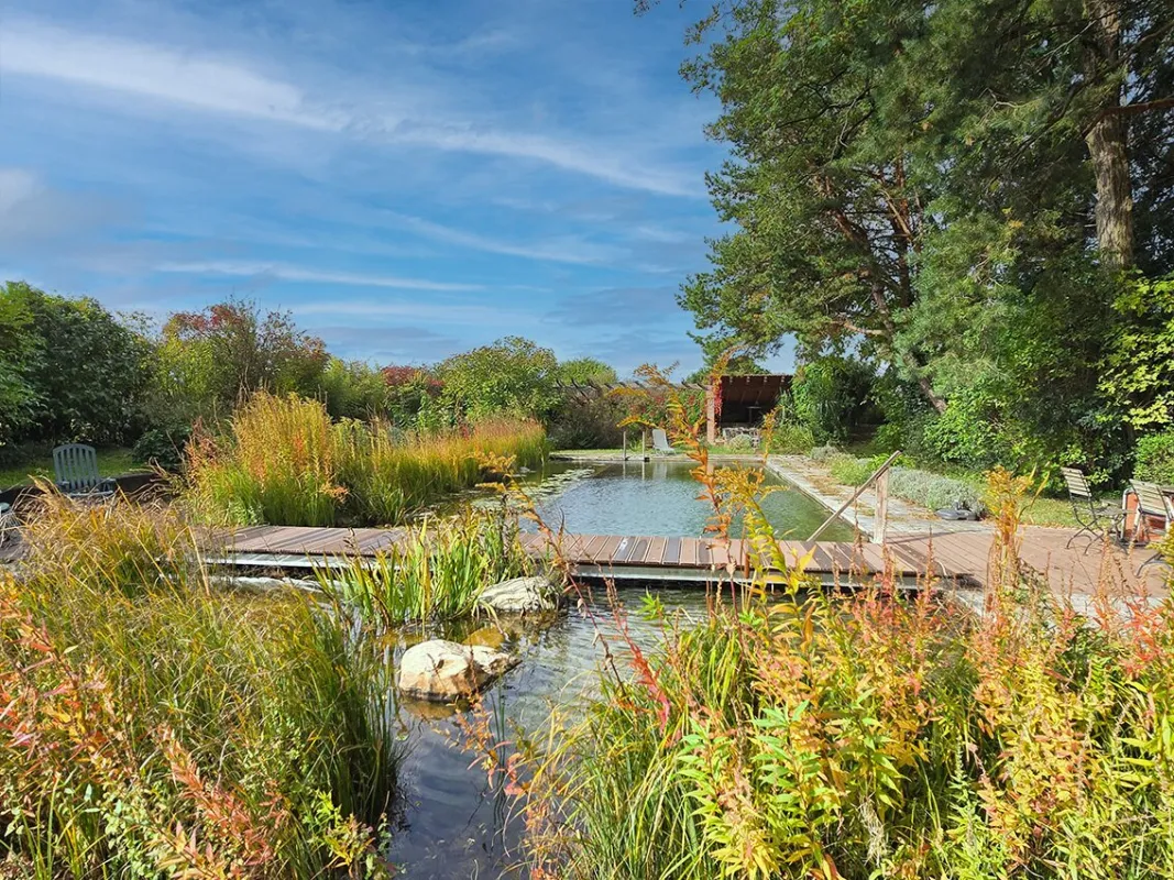 *** ALL-ALL-ALL-IN MIETE *** GROSSE GARTENANLAGE MIT SCHWIMMTEICH *** - Bild 1