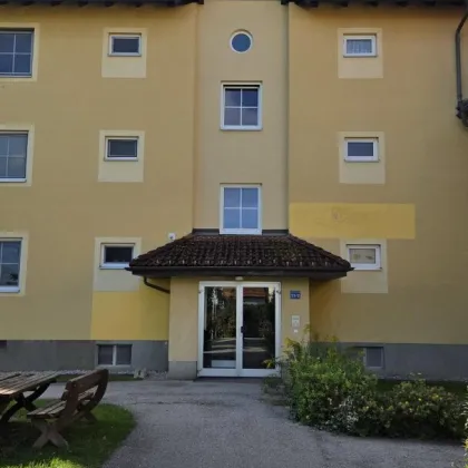 Traumhafte Dachgeschoßwohnung in Wimpassing: mit Loggia & Auto-Stellplatz - Bild 2