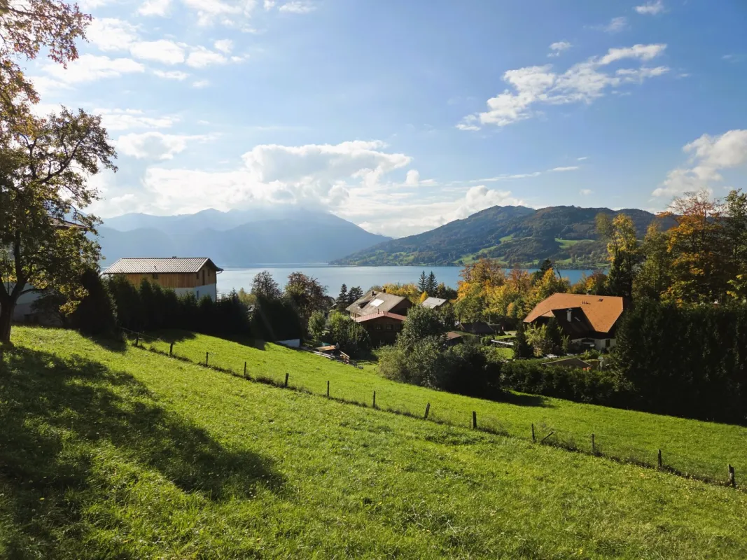 Logenplatz über dem See (projekt. Einfamilienhaus mit Pool) - Bild 1