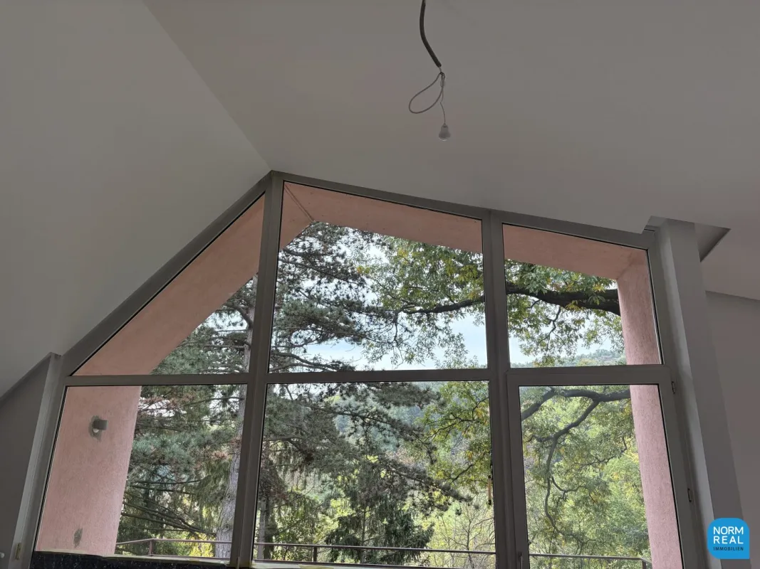 Dachgeschoss am Pötzleinsdorfer Park - Bild 1
