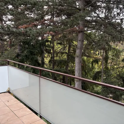 Dachgeschoss am Pötzleinsdorfer Park - Bild 2