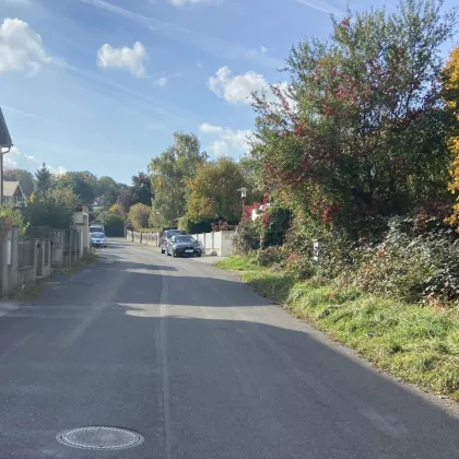 Ruhiges, ebenes Grundstück in Breitenfurt direkt - Bild 3