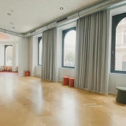 Einzigartiges Geschäftslokal in Top-Lage - 1010 Wien - Bild 3