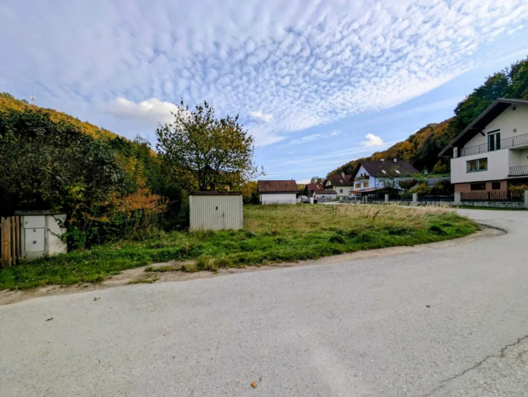 Baugrundstück in Grub - 702m² für Ihr Eigenheim - Bild 1