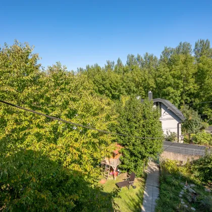 ++NEU++ Idyllisches Haus in der Gartenzeile Schwarzeau! - Bild 2