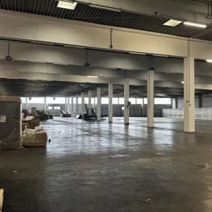 Moderne Halle mit 7 m Höhe und LKW-Zufahrt – ca. 4.445 m² im 21. Bezirk. Flexibel Nutzbar - Bild 3