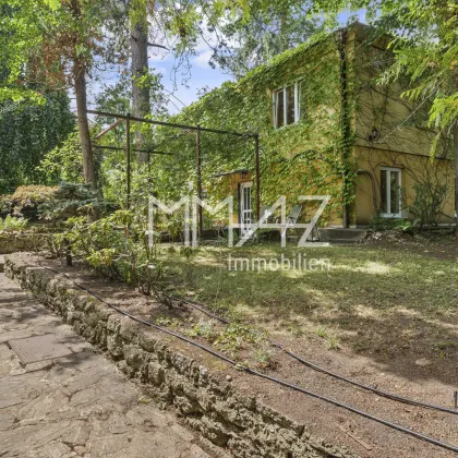 Idyllische Liegenschaft in Dornbach mit 850m² Grund und sanierungs-bedürftigem Einfamilienhaus! RUHIGE GRÜNLAGE! - Bild 3
