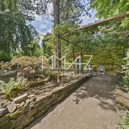 STÄDTISCHE NÄHE UND NATURNAHES WOHNEN • 4-Zimmer Einfamilienhaus in idyllischer Grünruhelage in Dornbach! - Bild 3