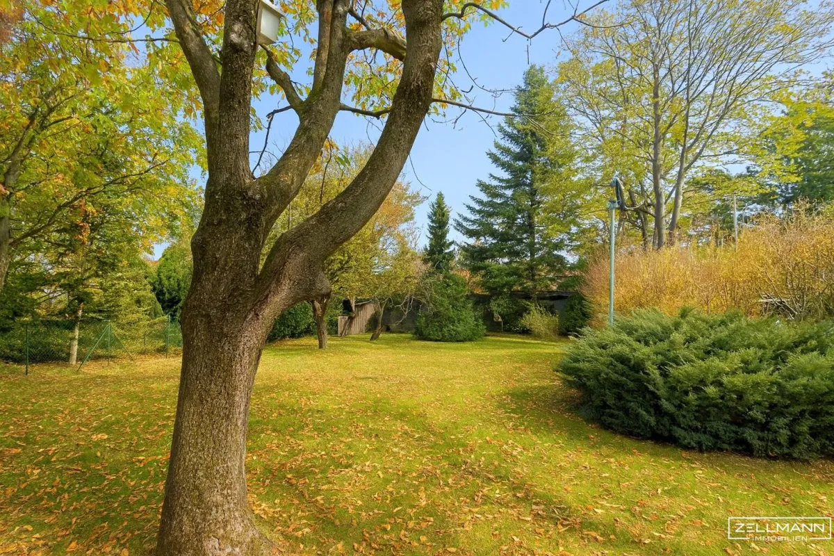 Ein Ort zum Wohlfühlen – für Familien, Träume und Gartenfreuden | ZELLMANN IMMOBILIEN - Bild 1