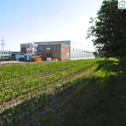 Idealer Gewerbebaugrund & Hausgrund mit top - Infrastruktur nahe Oberwart - Bild 3
