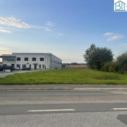 Idealer Gewerbebaugrund & Hausgrund mit top - Infrastruktur nahe Oberwart - Bild 2