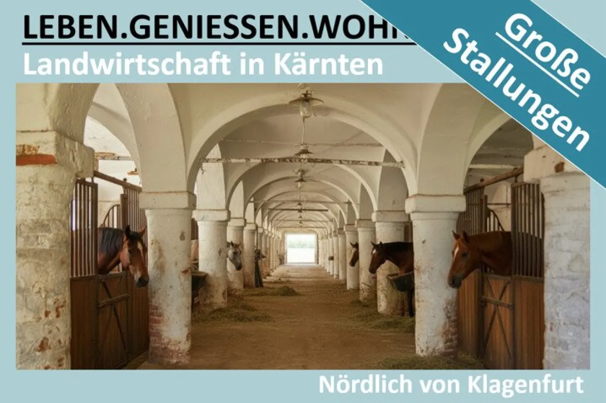 LANDWIRTSCHAFT IN KÄRNTEN MIT GROSSEN STALLUNGEN - Bild 1