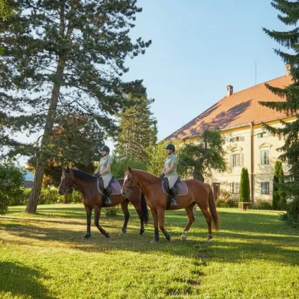 LANDWIRTSCHAFT IN KÄRNTEN MIT GROSSEN STALLUNGEN - Bild 2
