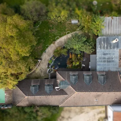 Paradies-Liebhaber aufgepasst! Detailreiches Ein oder Mehrfamilienhaus! - Bild 3