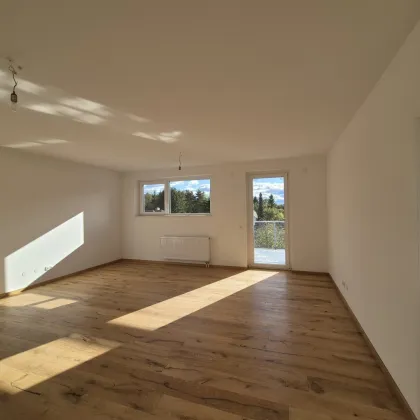 **Frisch renoviert** Traumhaft schöne 3-Zimmer-Wohnung mit separater Küche und sonnigem Balkon! - Bild 3
