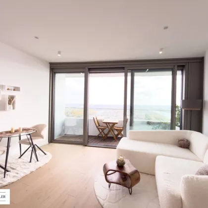 Möbliert, Pool, Sauna, Fitness in den DANUBEFLATS wohnen mit Luxusausstattung und phantastischem Ausblick - Bild 2