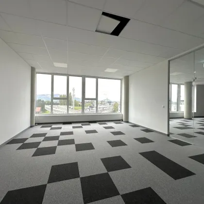Grundrisse individuell gestaltbar! Erstbezugs Gewerbe - und Büroflächen in Leibnitz! - Bild 3