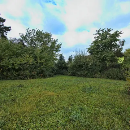 Wunderschönes, ebenes Grundstück in Wilfersdorf - Bild 2