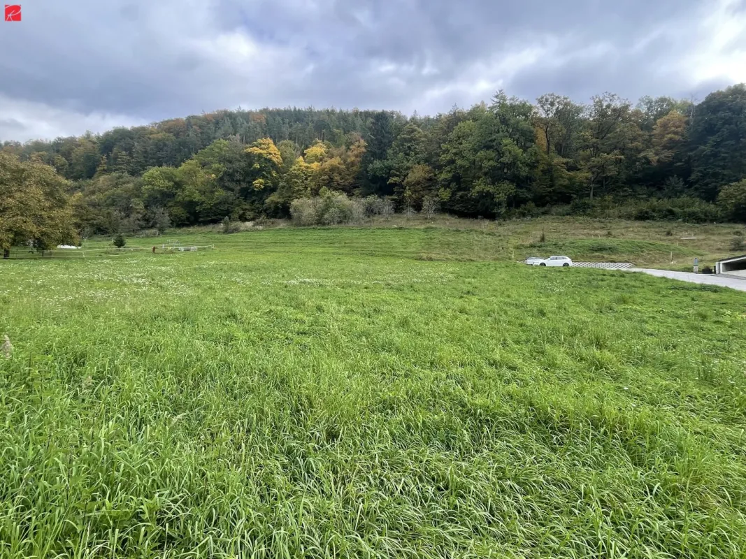 Traumgrund in idyllischer Lage - Bild 1