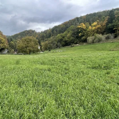 Traumgrund in idyllischer Lage - Bild 3