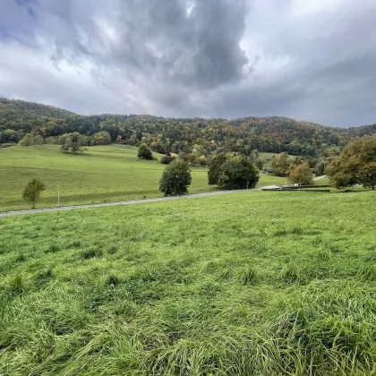 Traumgrund in idyllischer Lage - Bild 2