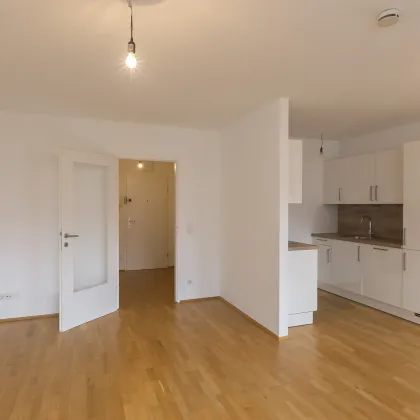Wohnpark Kornhäusel | Gut geschnittene 1-Zimmer-Wohnung, ideal für Pendler oder als Kapitalanlage - Bild 3
