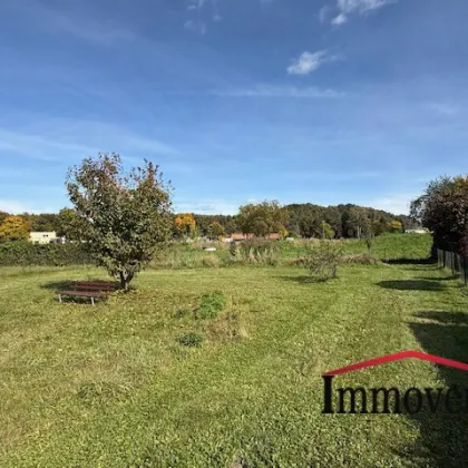 RUHE und SONNE PUR - Ein schöner, sonniger und großzügiger Garten mit Einfamilienhaus! - Bild 3