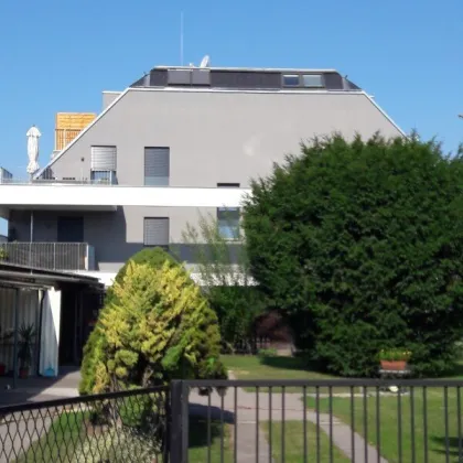 NEUBAU-RENDITEOBJEKT IM GRÜNEN, freier Mietzins, 10 Wohneinheiten mit Freiflächen, 5 Stellplätze, 748 m2 Grundstück, Aspern, U2-Nähe - Bild 3