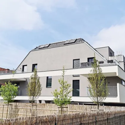 NEUBAU-RENDITEOBJEKT IM GRÜNEN, freier Mietzins, 10 Wohneinheiten mit Freiflächen, 5 Stellplätze, 748 m2 Grundstück, Aspern, U2-Nähe - Bild 2
