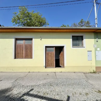 Weinkeller in idyllischer Kellergasse | Nähe Langenlois - Bild 2