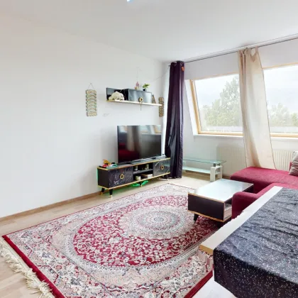 Gemütliche 2 Zimmerwohnung in Laxenburg. Toplage. Provisionsfrei. Schlicht, Simpel, Vernünftig. - Bild 3