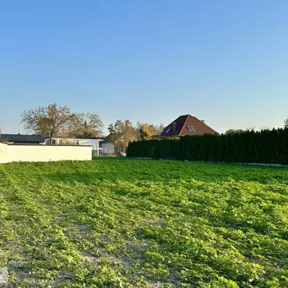 ABENDSONNE, PRIVATSTRASSE, IDEALE GRÖSSE UND BEBAUBARKEIT /// tolles Baugrundstück mit perfekter Infrastruktur nahe Schlosspark - Bild 3
