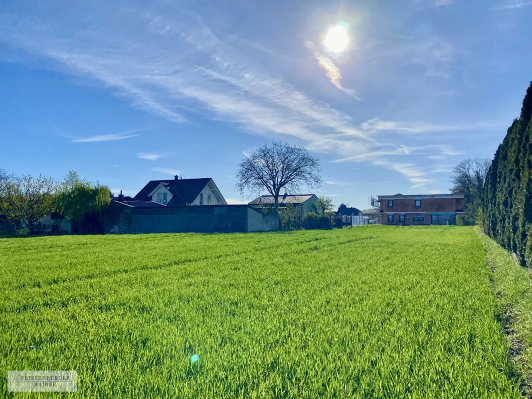 POTTENDORF /// WOHNEN IN BESTER LAGE /// DREI BAUGRÜNDE AN PRIVATSTRASSE - Bild 1