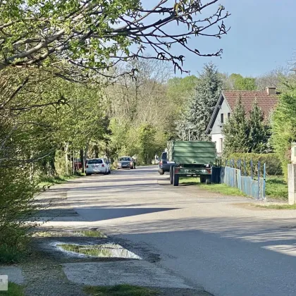 POTTENDORF /// WOHNEN IN BESTER LAGE /// DREI BAUGRÜNDE AN PRIVATSTRASSE - Bild 3