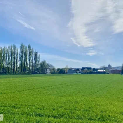 POTTENDORF /// WOHNEN IN BESTER LAGE /// DREI BAUGRÜNDE AN PRIVATSTRASSE - Bild 2
