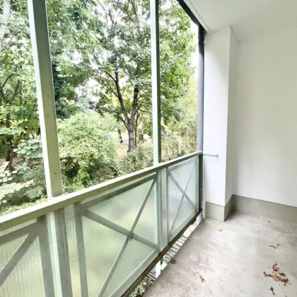 PROVISIONSFREI VOM EIGENTÜMER! SCHÖNE 3-ZIMMER-WOHNUNG MIT LOGGIA NÄHE SCHLOSS HETZENDORF! - Bild 3